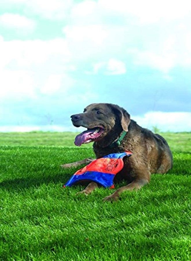 Chuckit! Small Flying Squirrel Dog Toy - Image 3